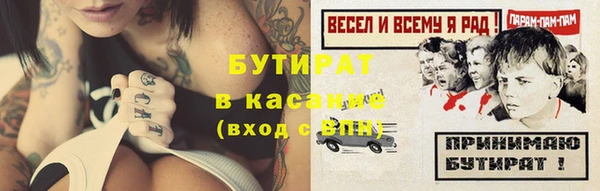 индика Арсеньев