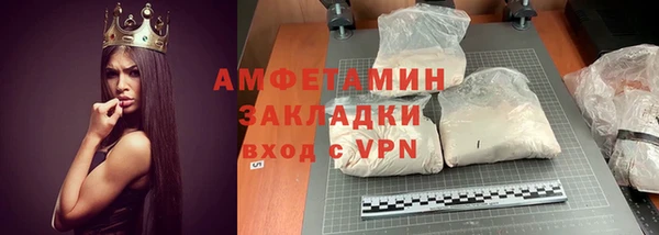 индика Арсеньев