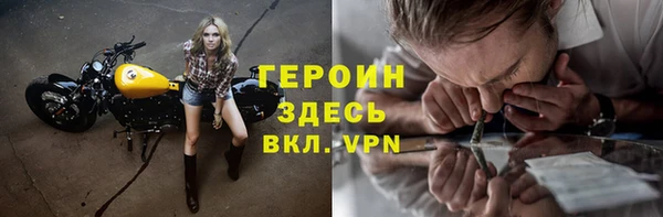 индика Арсеньев