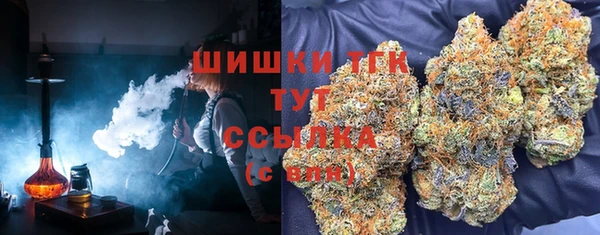 индика Арсеньев