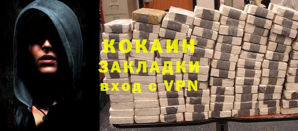 индика Арсеньев