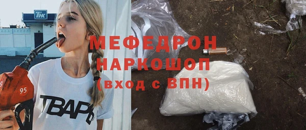 индика Арсеньев