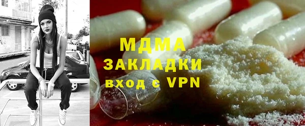 индика Арсеньев