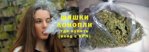 индика Арсеньев