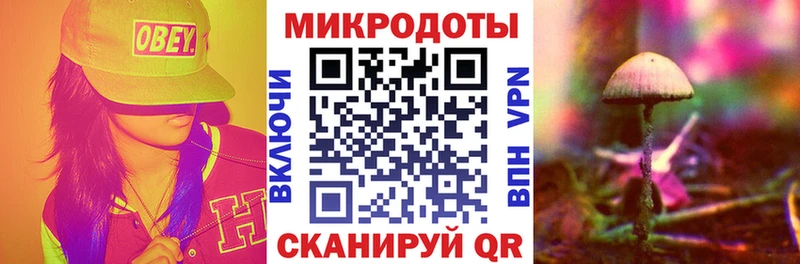 дарнет шоп  Сольцы  Псилоцибиновые грибы Psilocybine cubensis 